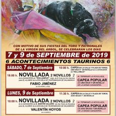 Cartel de toros para la Feria de Toros de Mieza 2019